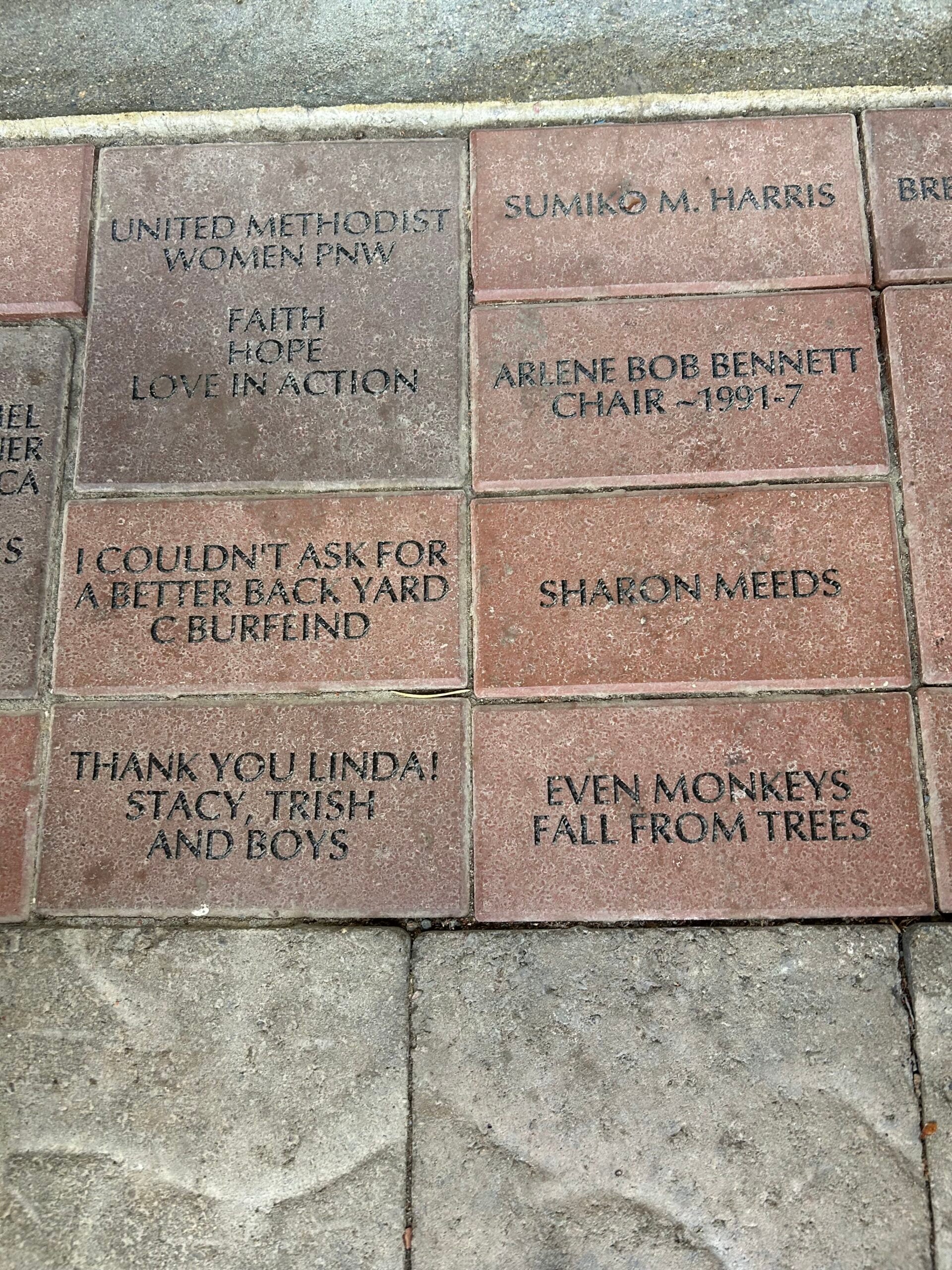 image0 (17)